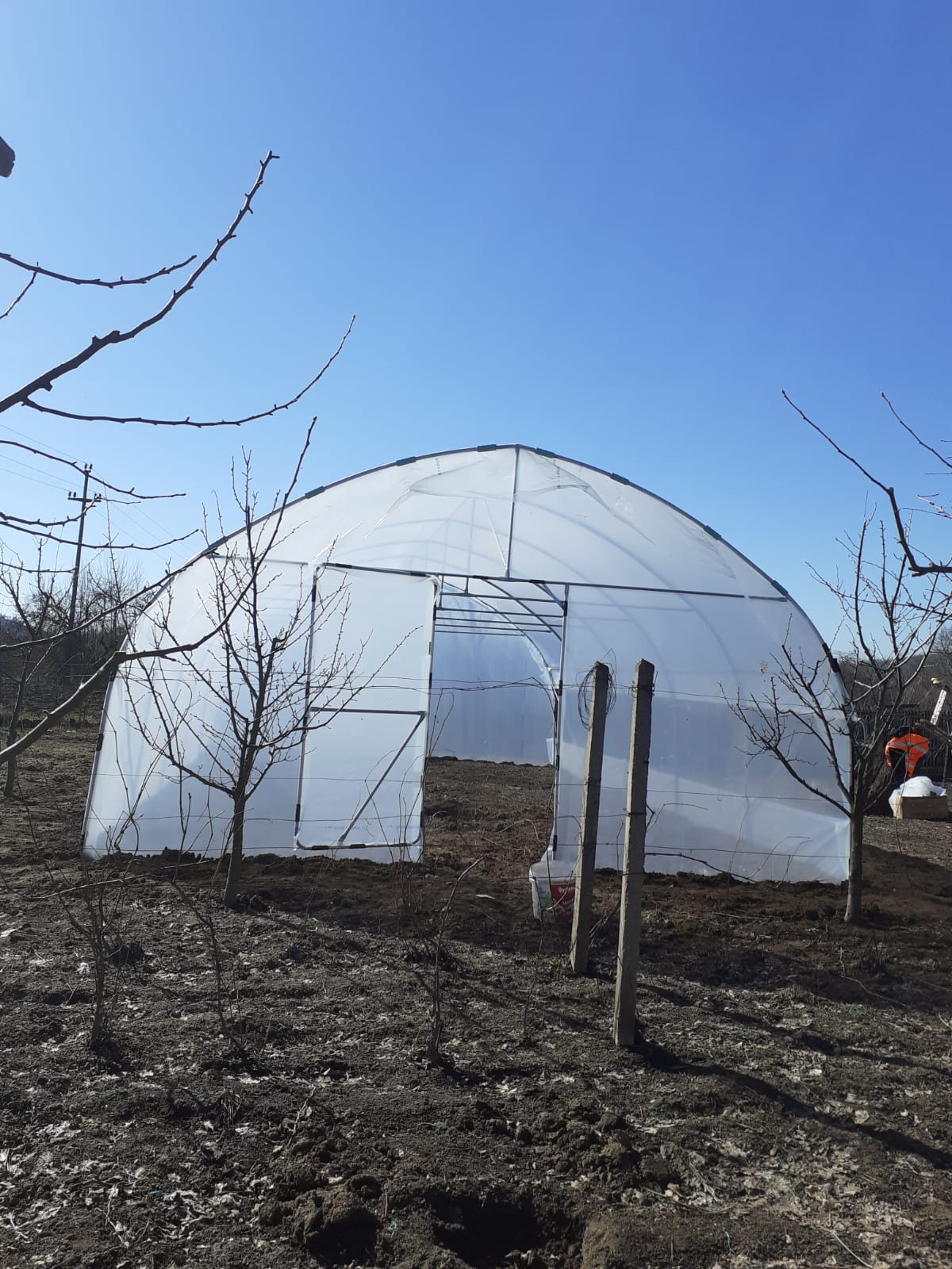 Solar 6m - vedere laterală 2